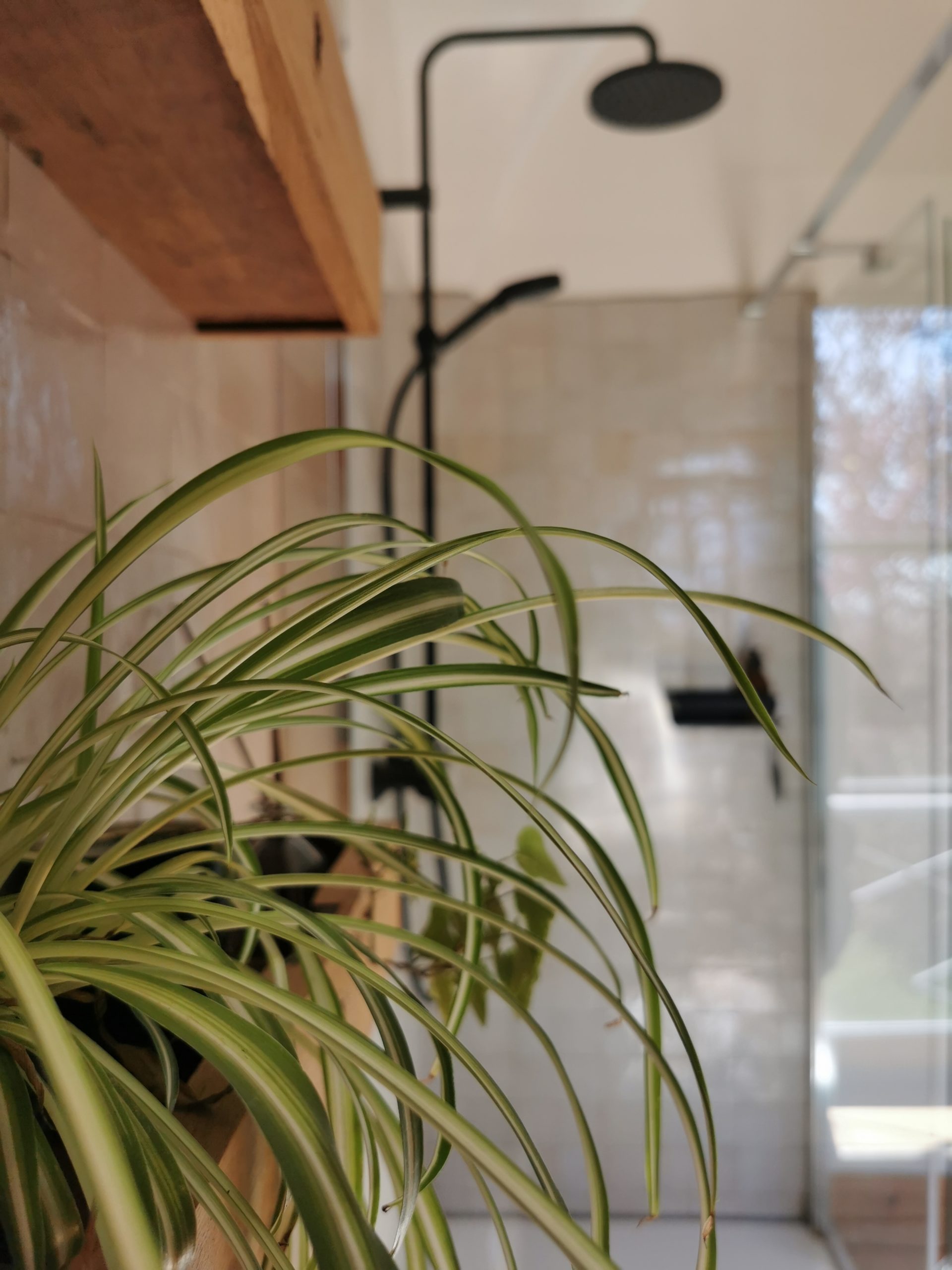 salle de bain 3